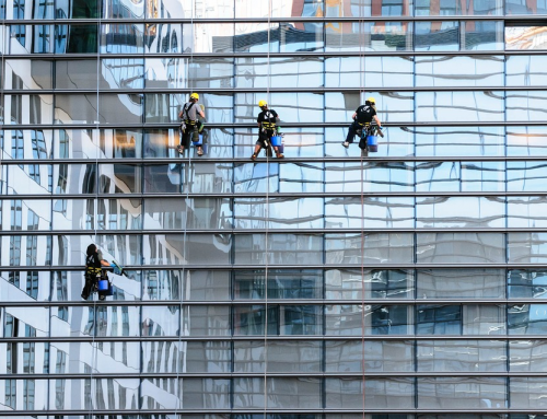 All You Need to Know About Fall Protection Training